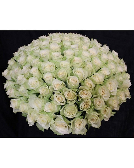 Букет из 101 белой голландской розы с доставкой по Капчагае