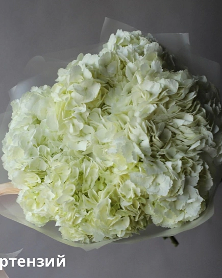 Bouquet of Bouquet of Colombian hydrangeas (7) flowers delivered to Shymkent