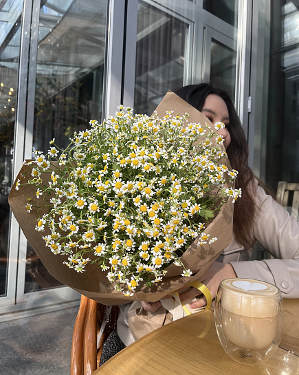 Bouquet of Chamomile flowers delivered to Almaty
