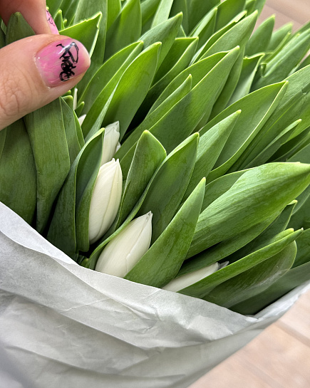 Bouquet of Tulips in a pack (50 pcs) flowers delivered to Astana