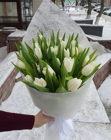 25 белых тюльпанов с доставкой по Астане