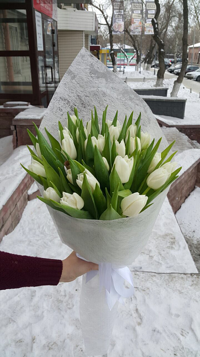 25 white tulips