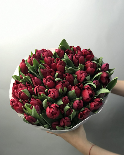 Burgundy tulips in a pack (50 pieces) with delivery to Astana