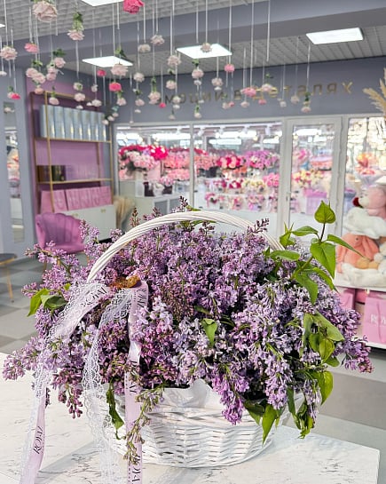 Lilac in a basket with delivery to Almaty