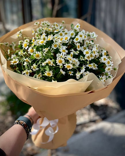 Очарование полевых ромашек с доставкой по Алматы