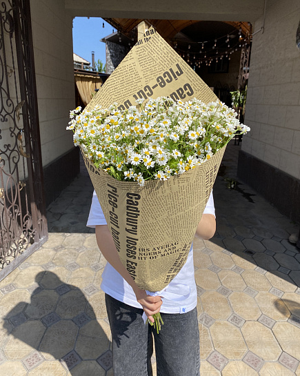 Bouquet of Romashki. flowers delivered to Taraz