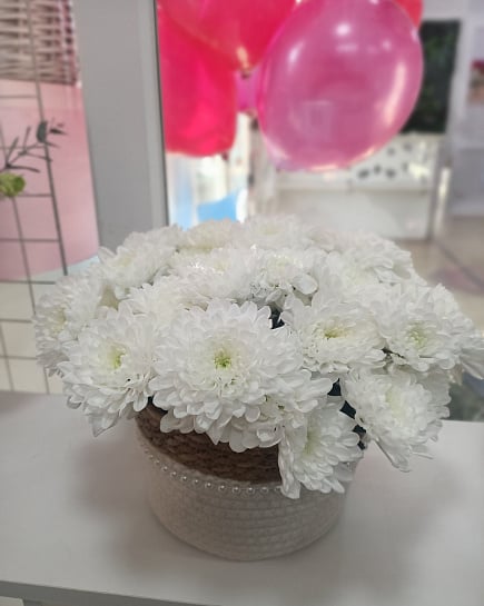 Белоснежные хризантемы в корзине с доставкой по Астане