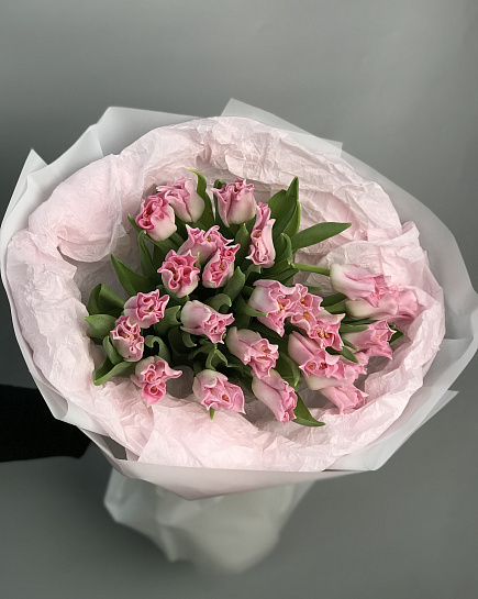 Tulips 25 pcs with delivery to Astana