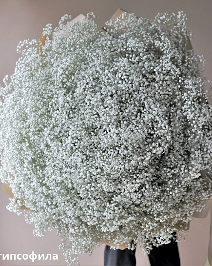 Bouquet of Bouquet of white gypsophila (101) flowers delivered to Shymkent