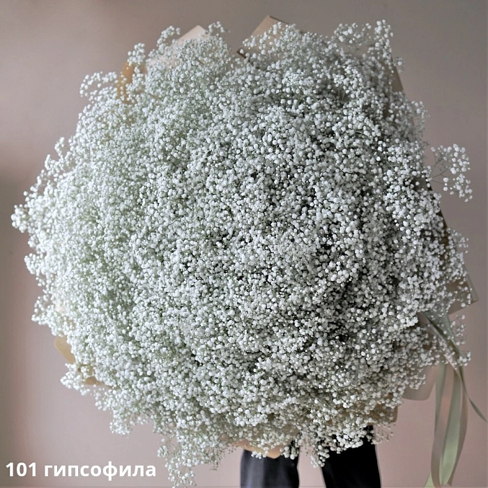 Bouquet of white gypsophila (101)