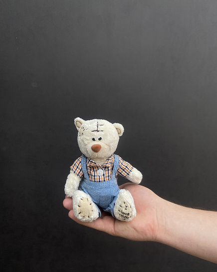 Teddy 14cm with delivery to Astana