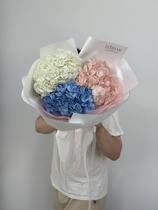 Royal hydrangeas(3)