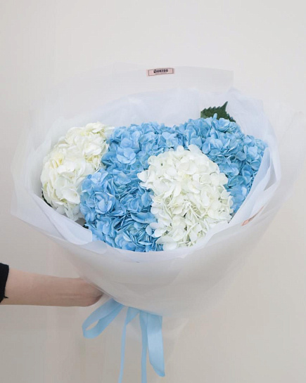 Bouquet of Bright shine of hydrangeas M flowers delivered to Shymkent