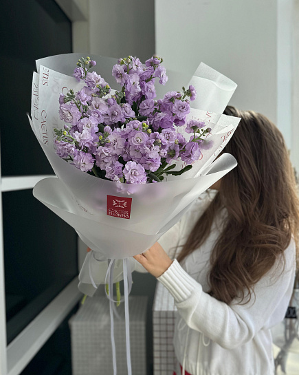 Mono bouquet with fragrant matiola with delivery to Astana