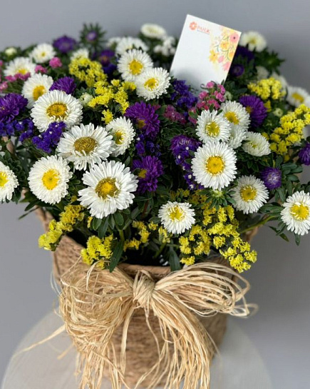 Bouquet of Aster in a basket flowers delivered to Almaty