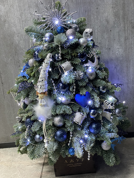 Christmas tree of your dreams