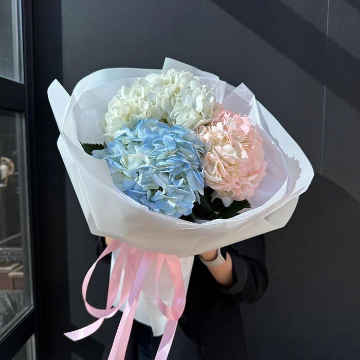 Bouquet of lush hydrangeas