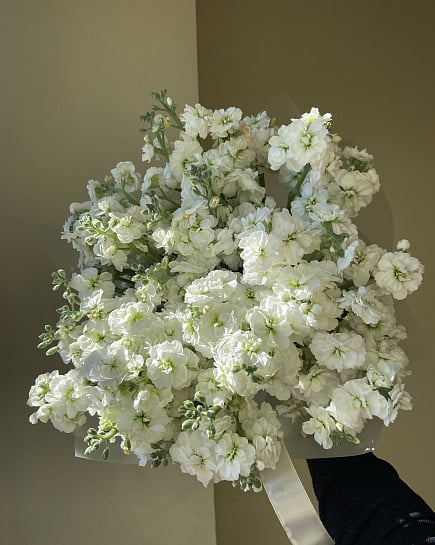 Белоснежная маттиола: облако аромата с доставкой по Астане