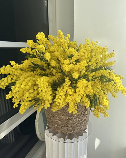 Яркая мимоза в плетеной корзине с доставкой по Астане