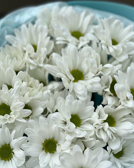 Bouquet of Bouquet of 5 white chrysanthemums flowers delivered to Almaty