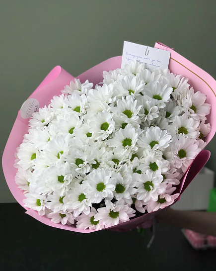 Bouquet of Bouquet of daisies 15 pcs flowers delivered to Astana