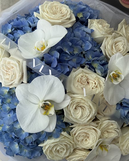 Northern breeze with delivery to Almaty