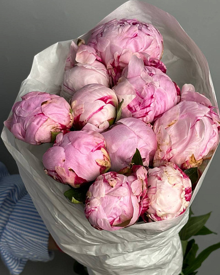 Bouquet of Pink peonies in packs (10 pcs) Sarah Bernhardt flowers delivered to Astana