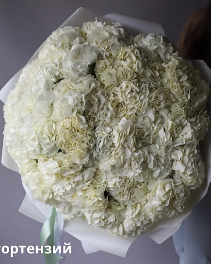 Bouquet of Bouquet of Colombian hydrangeas (35) flowers delivered to Shymkent