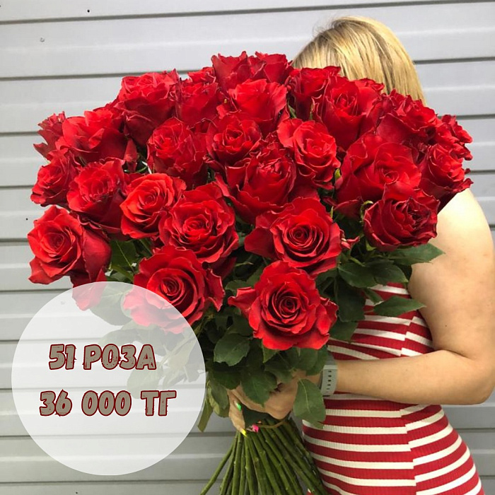 51 красная Роза 51 красная Роза