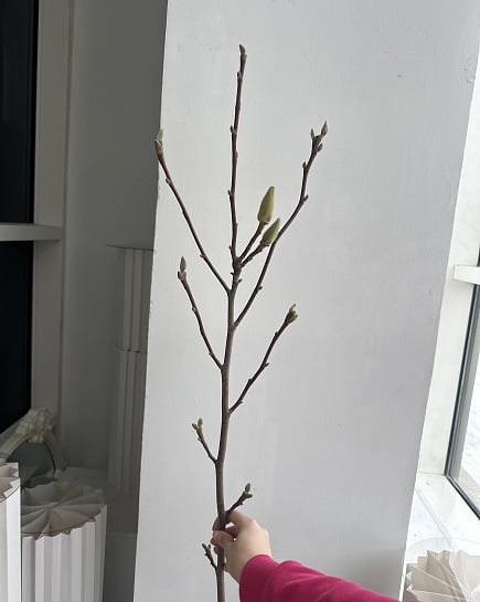 Ветка с бутонами с доставкой по Астане