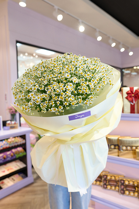 Bouquet of white daisies