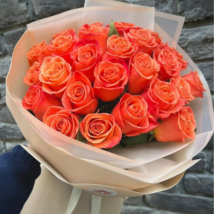 Flowers 25 Ecuadorian Roses Flowers 25 Ecuadorian Roses