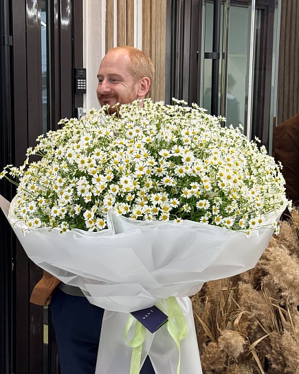 Ромашки VLVT Flowers с доставкой по Алматы