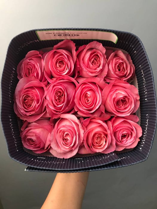 Pink expression в пачке 25 шт Pink expression в пачке 25 шт