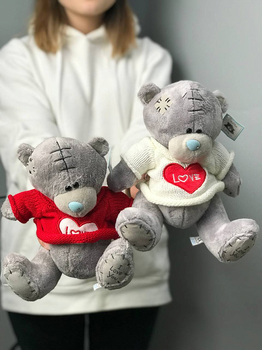 Soft toy Teddy Bear (25 cm)