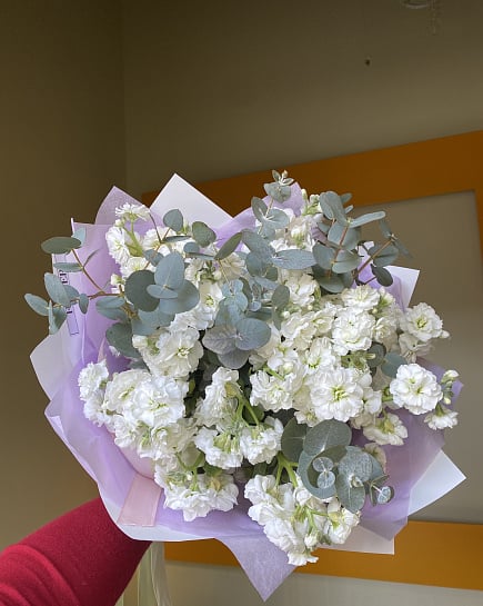 Белоснежная Маттиола с эвкалиптом с доставкой по Астане