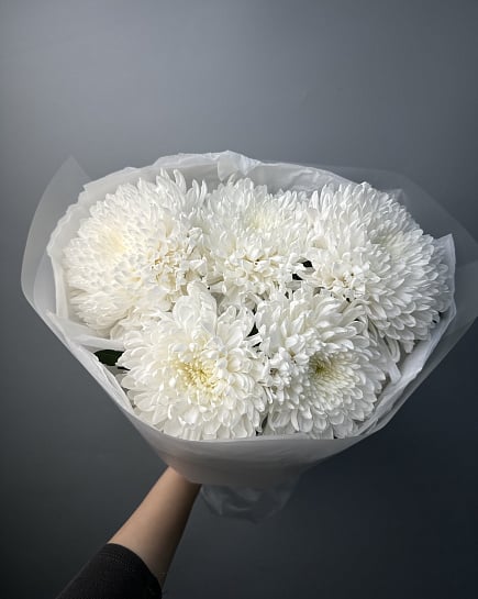 Белоснежная хризантема с доставкой по Астане