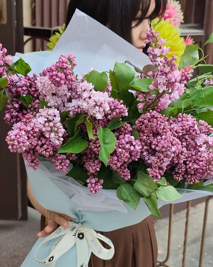 Сиреневое облако with delivery to Almaty