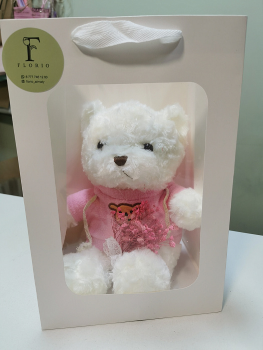 Teddy bear in a gift bag