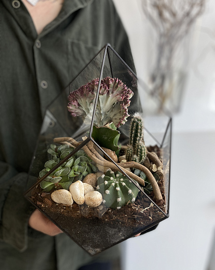 Bouquet of Florarium with cacti and succulents flowers delivered to Astana