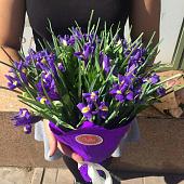 Spring love