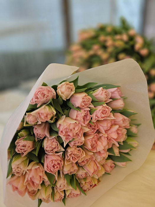 Pionovid pink tulips