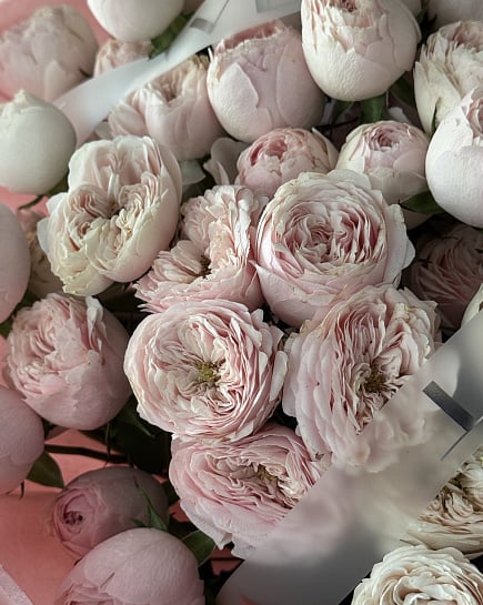 Zefirka  с доставкой по Алматы