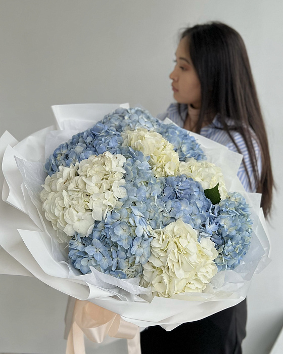 bouquet of 11 hydrangeas