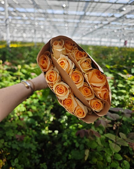 Peach Avalanche (15 шт) с доставкой по Астане