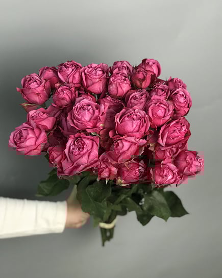 Julietta Cerise пачка 12шт  с доставкой по Астане