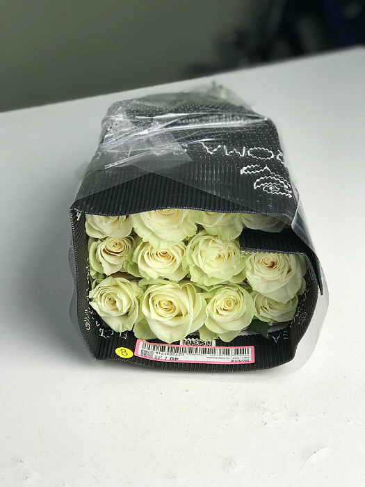 25 white roses in a pack wholesale