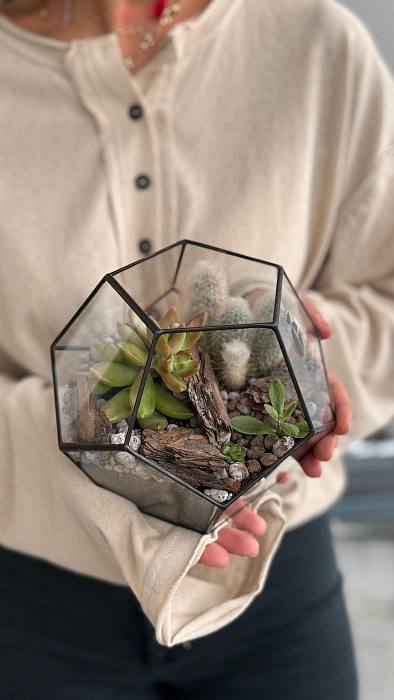 Florarium with succulents and cacti