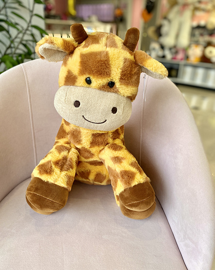 Bouquet of Giraffe flowers delivered to Aktobe