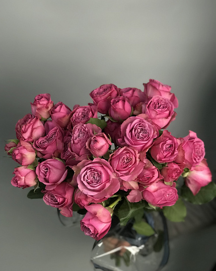 Shrub roses wholesale 1 pack (10 pcs) with delivery to Astana